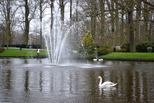 Волшебная страна тюльпанов в Амстердаме - лучше один раз увидеть! (ФОТО)