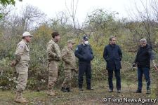 В Физули не осталось ни одного целого здания (ФОТО)