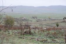 В Физули не осталось ни одного целого здания (ФОТО)