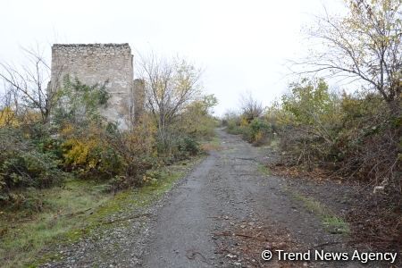 В Физули не осталось ни одного целого здания (ФОТО)