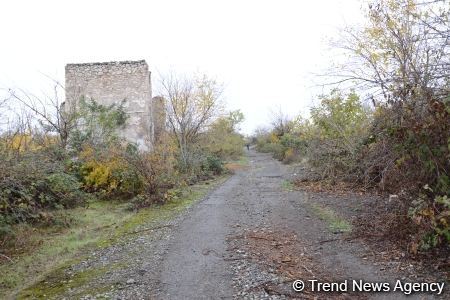 В Физули не осталось ни одного целого здания (ФОТО)