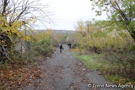 В Физули не осталось ни одного целого здания (ФОТО)