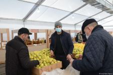 В Баку открылись сельхозярмарки (ФОТО/ВИДЕО)