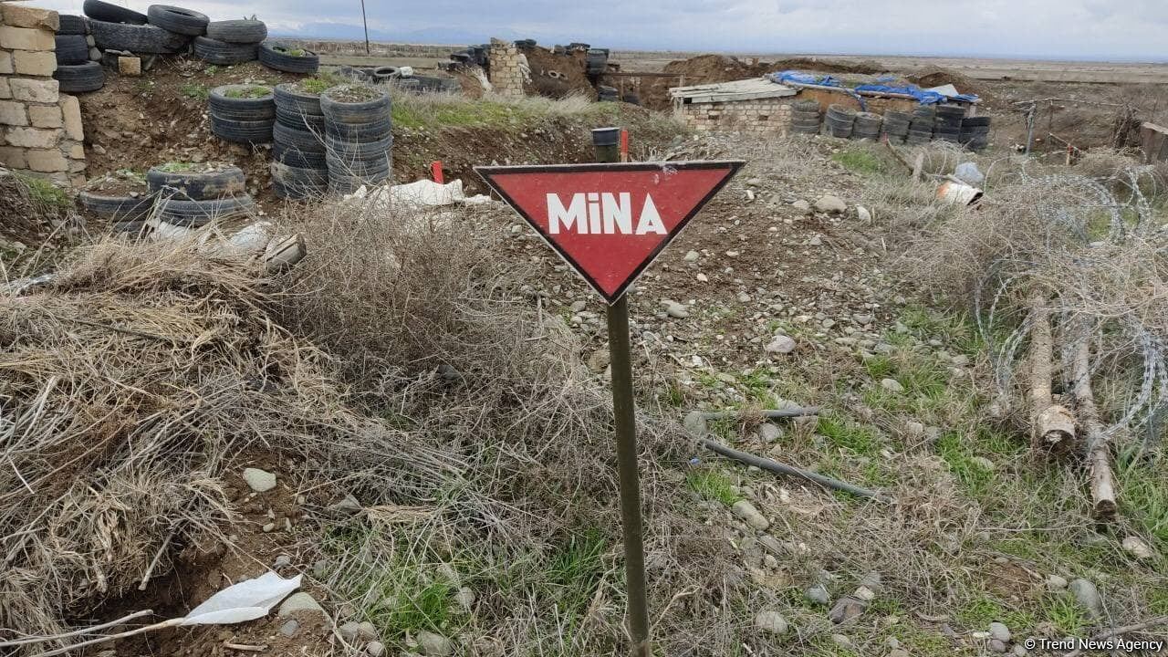 Армяне во время оккупации специально заминировали азербайджанские  земли невоенного назначения - депутат Милли Меджлиса