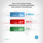 Обнародован объем производства электроэнергии в Азербайджане за январь (ФОТО)